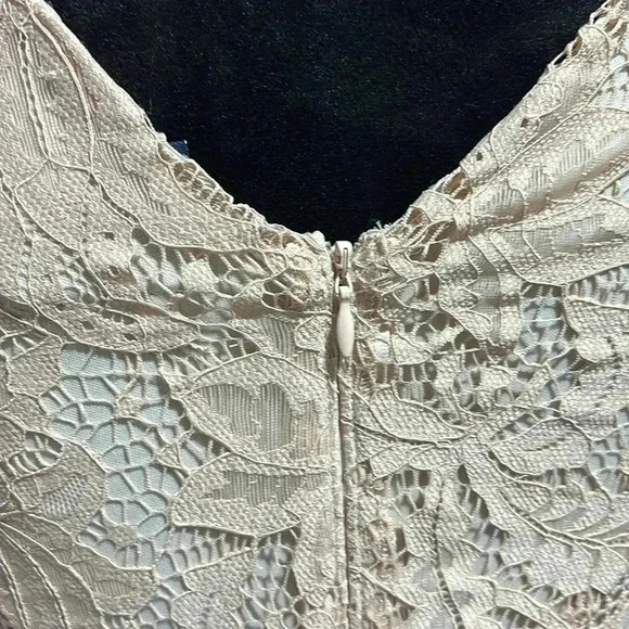 Just Taylor V-neck flutter sleeve lace,Hi/low ruffle,zip back, lined,zipper back - Picture 9 of 16